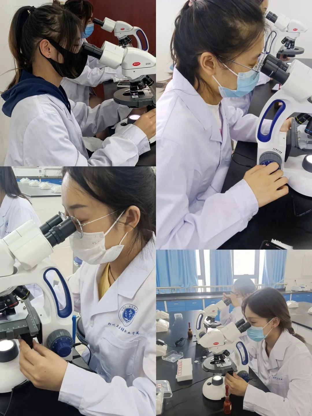 检验细胞之美6.jpg 检验细胞之美6.jpg